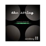 Sandberg Strings Stainless Steel, 45-105
