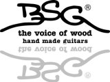 BSG Guitars