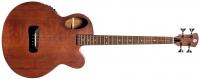 Spector Timbre JR, Walnut Stain Matte