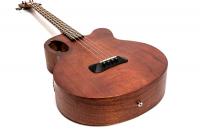 Spector Timbre JR, Walnut Stain Matte