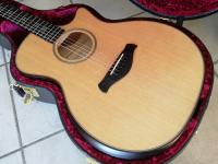 Taylor 614ce Builders Edition V Class
