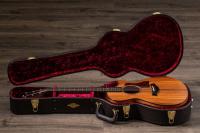 Taylor 722ce *neues Modell*