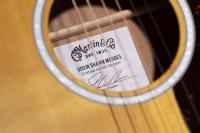 Martin 000JR-10E Shawn Mendes Custom Signature Edition