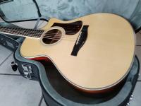 Eastman AC-308CE second hand
