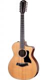 Taylor 254ce Plus