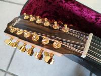 Taylor 264ce-K dlx