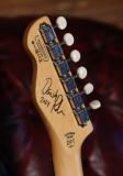 Chapman Guitars - Danish Pete Signature, Fall Yellow - Signed by Danish Pete