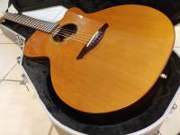 Avalon Gold L-201C Fishman second hand