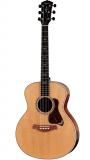 Taylor 814e Koa Gold Label