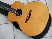 Avalon Gold L-200 L.R.Baggs Anthem SL second hand