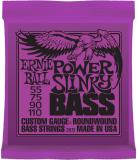 Ernie Ball 2831 E-Bass Strings, 55-110