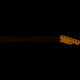 Fender American Professional II Tele Neck Hals RW UVP:699.-