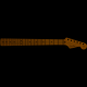 Fender AMERICAN PROFESSIONAL STRATOCASTER NECK, 22 NARROW TALL FRETS, 9.5