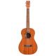 Protege by Cordoba U1B Baritone Ukulele