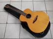 Avalon Gold L-200 L.R.Baggs Anthem SL second hand